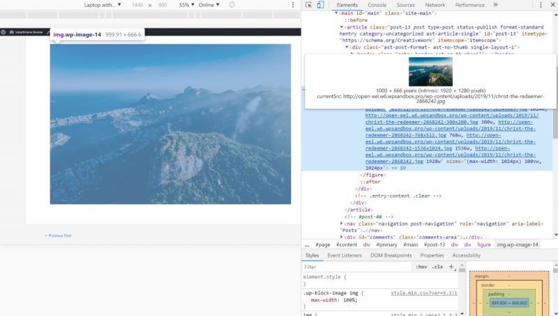 Image URL in source code