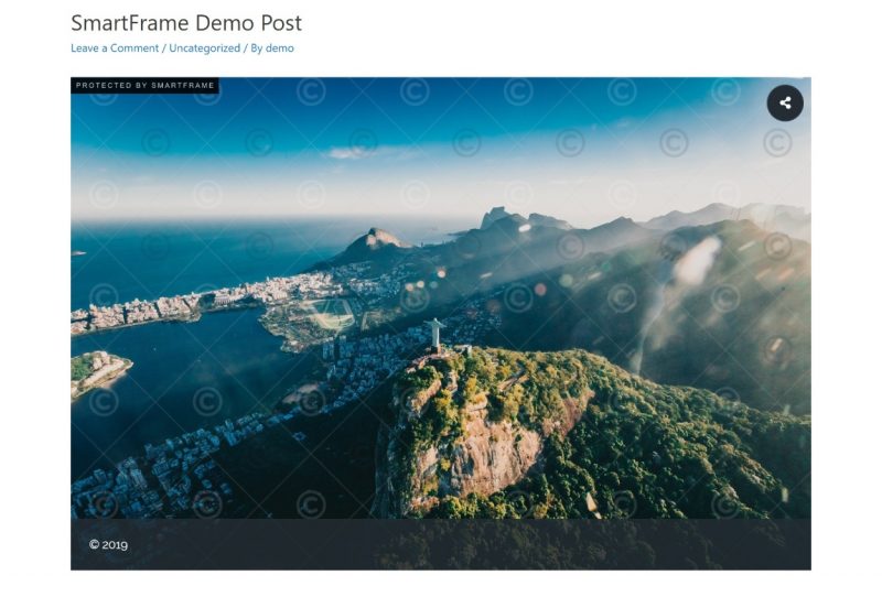 SmartFrame review of watermark feature