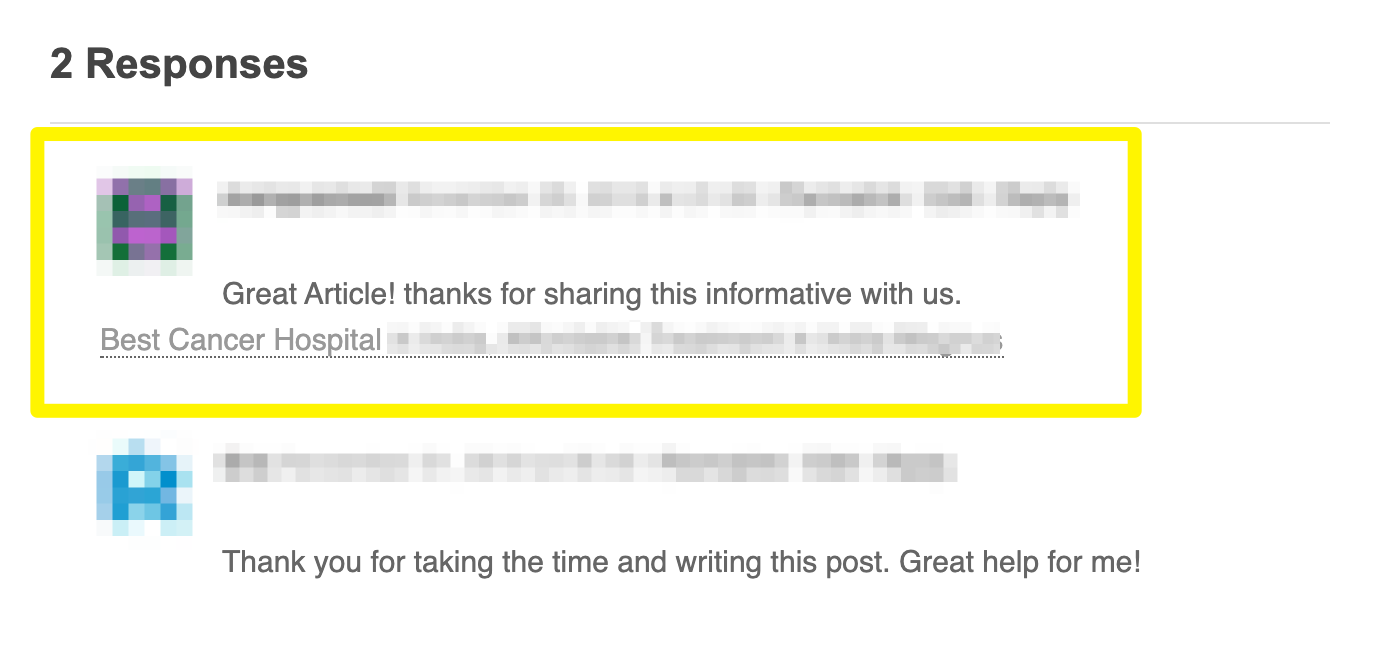 An example of a comment containing a spammy link.