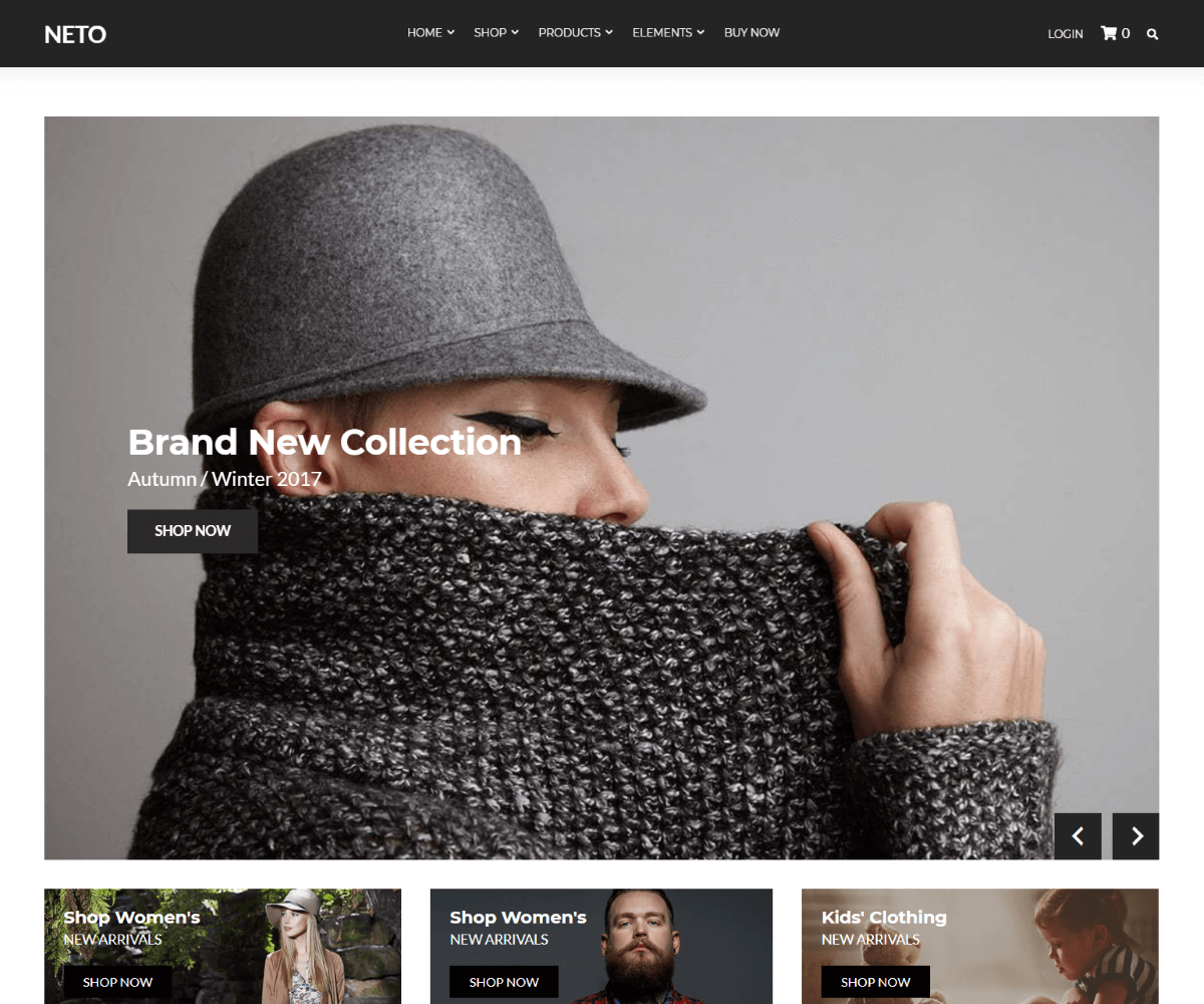 Neto Beauty WordPress eCommerce Themes