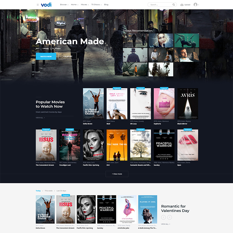 Vodi - Video WordPress Theme for Movies & TV Shows
