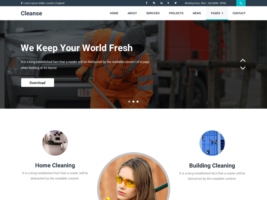 Cleanse WordPress Theme
