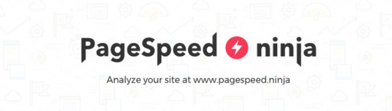 The PageSpeed Ninja website.