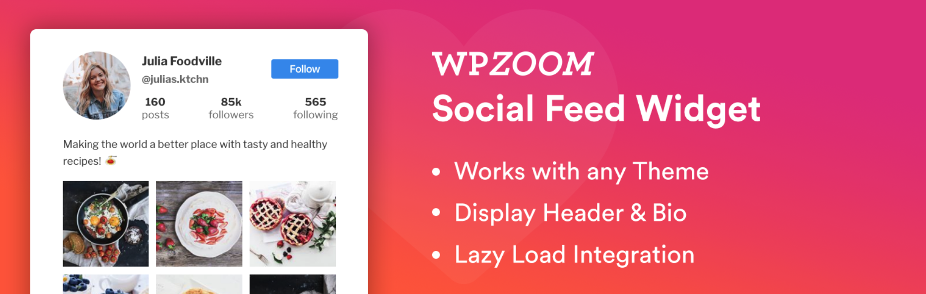 WPZoom Instagram Feed plugin for WordPress