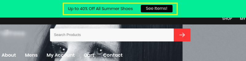 A green notification bar displaying on a WordPress eCommerce site.