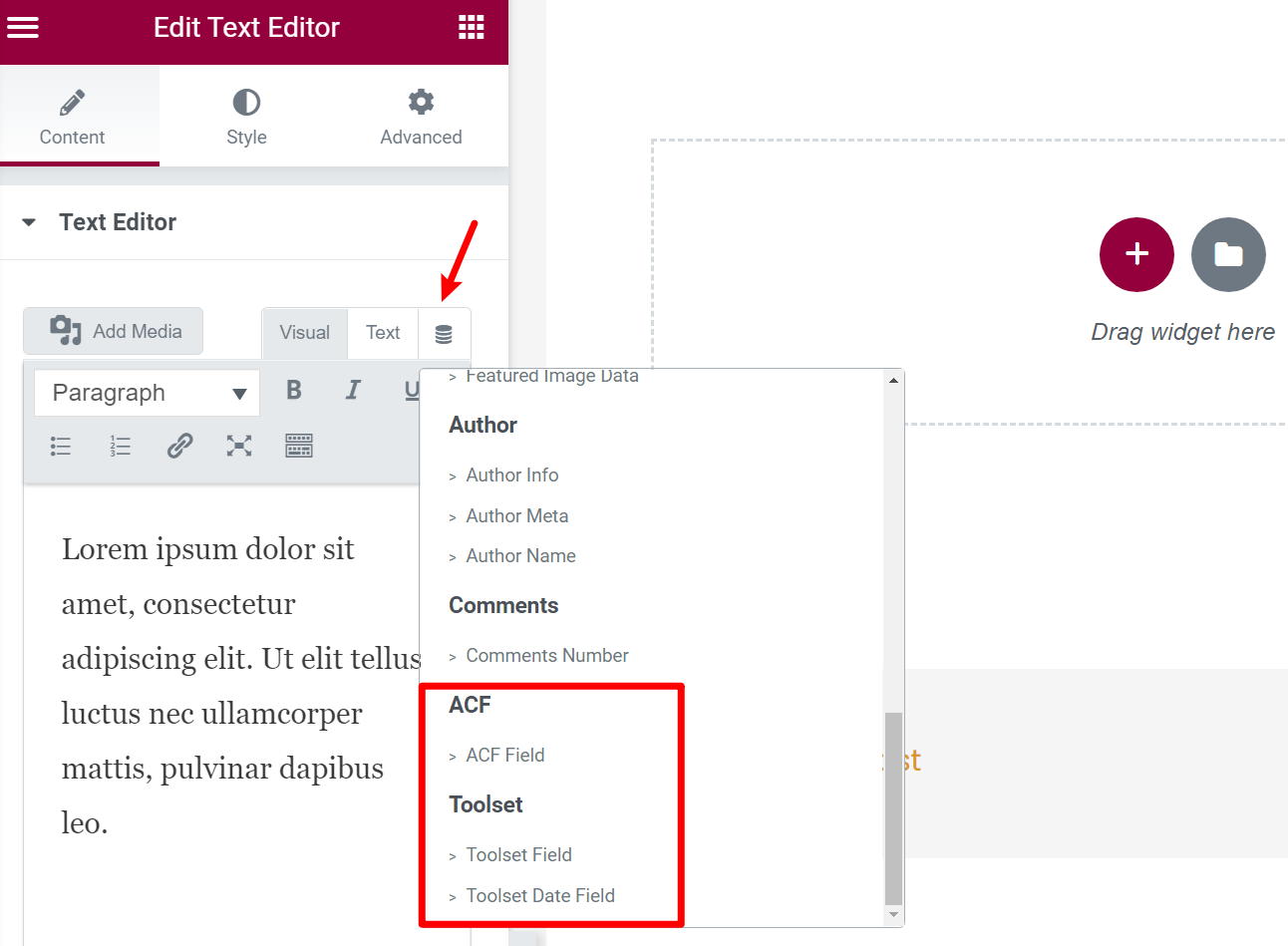Using Toolset vs ACF in Elementor Pro