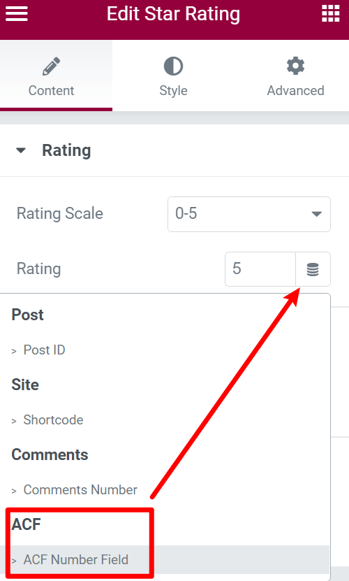 Inserting dynamic content in Elementor Pro number widgets