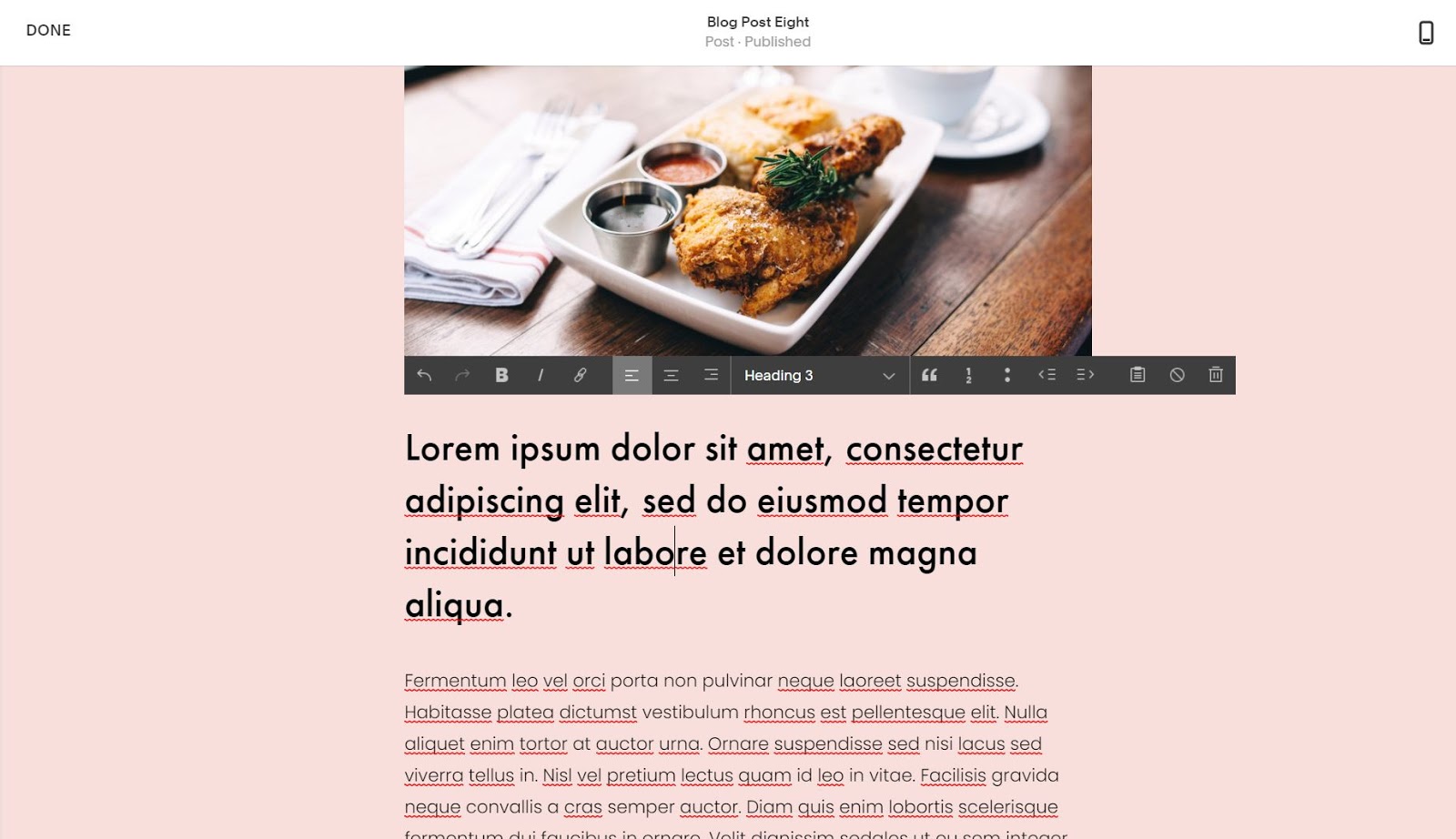 wordpress vs squarespace 4