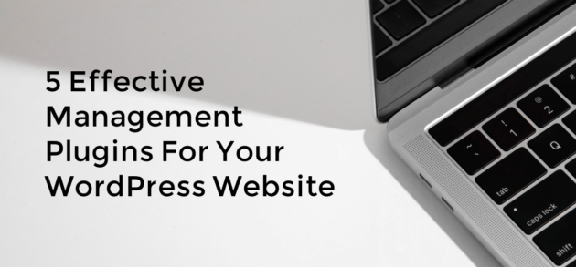 5 Effective Management Plugins for Your WordPress Website