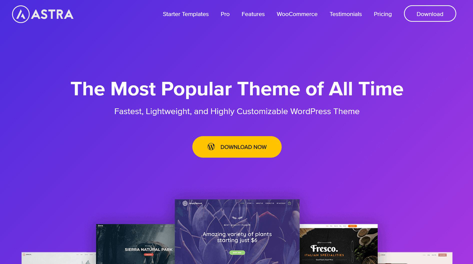 astra small business theme