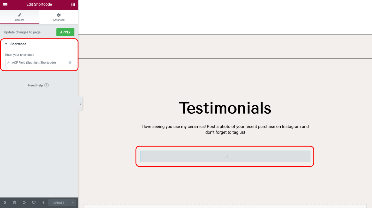 Elementor shortcode dynamic field