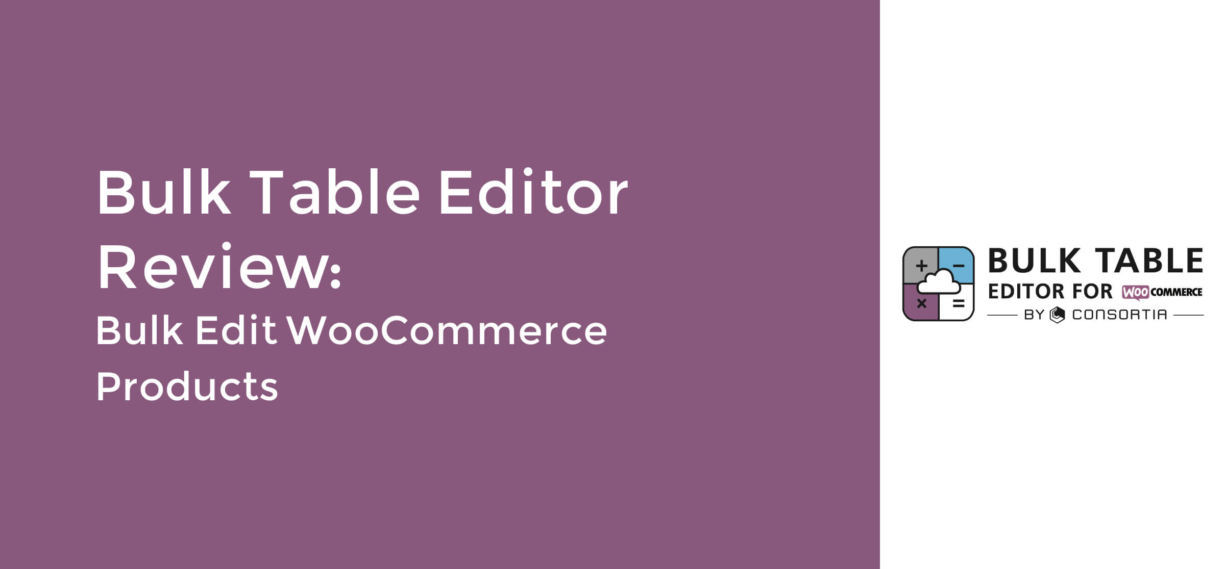 Bulk Table Editor Review