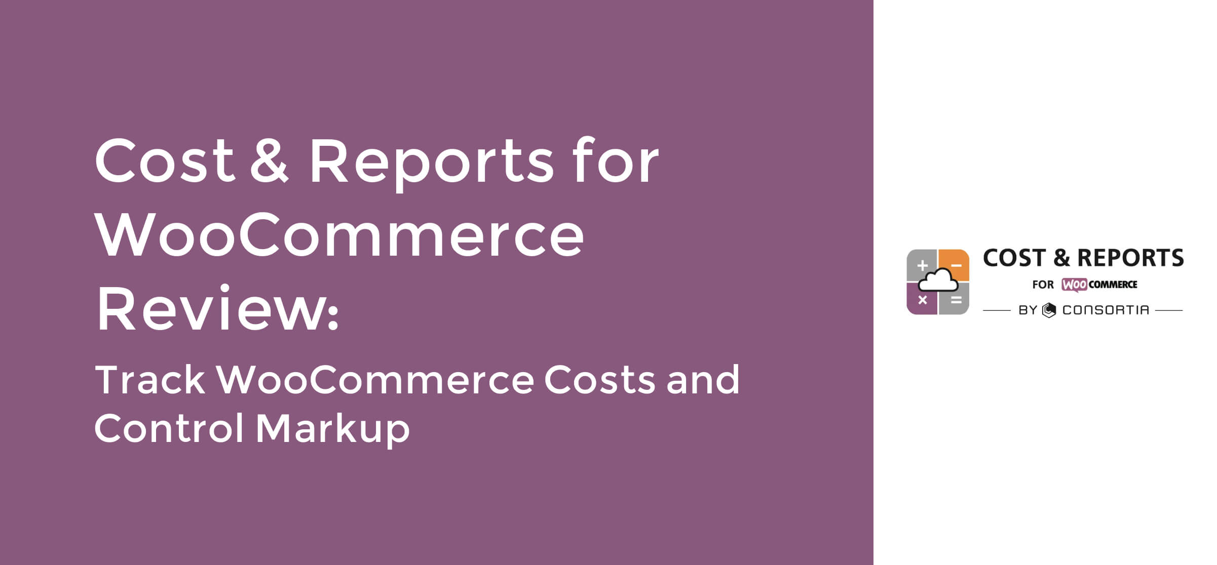 Cost & Reports Review