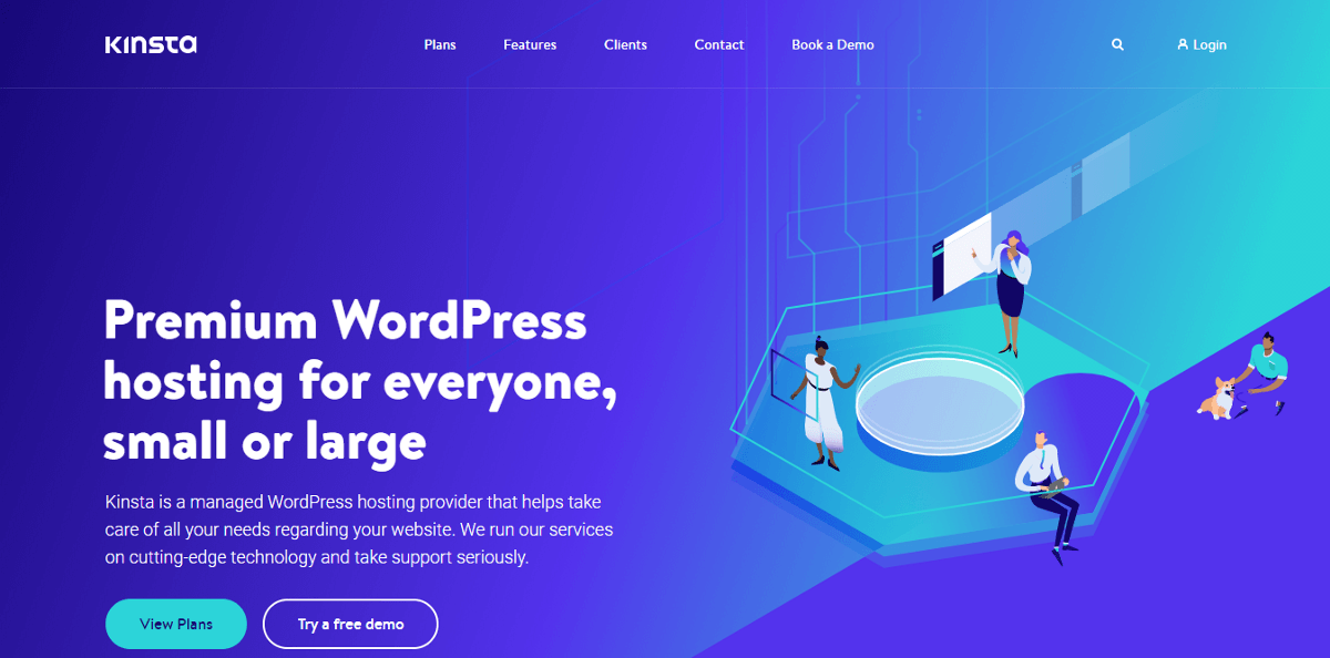 Kinsta managed hosting