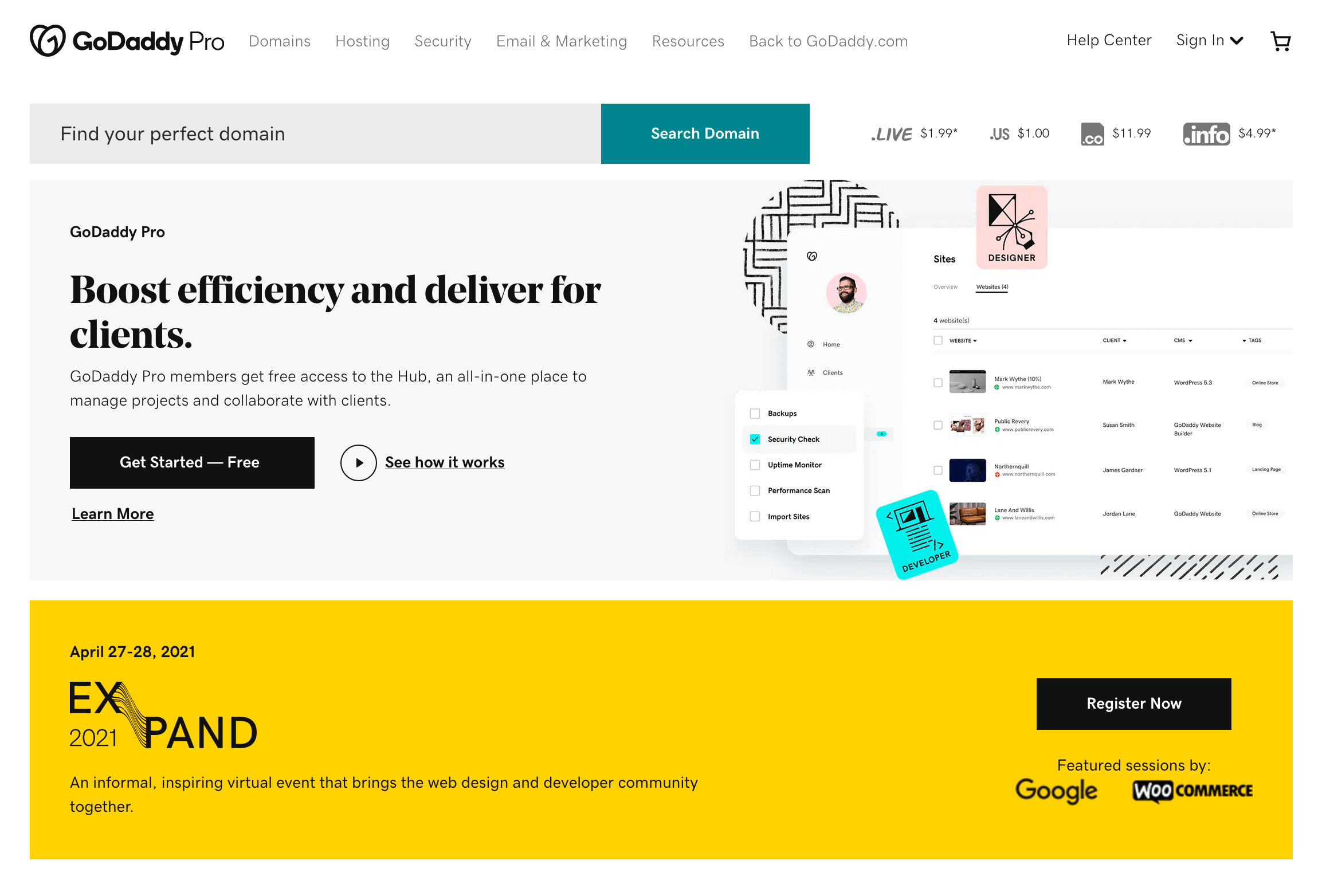 GoDaddy Pro Homepage