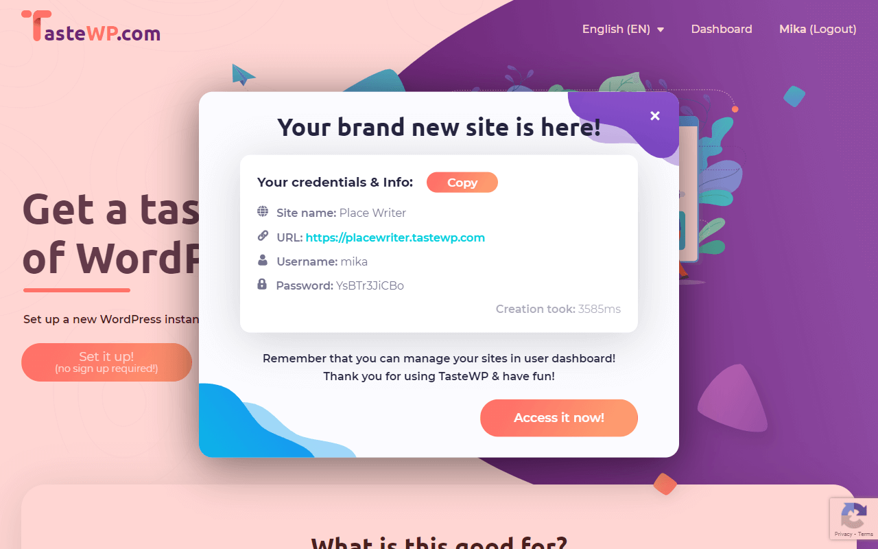 Successful creation of the new WordPress instance on TasteWP