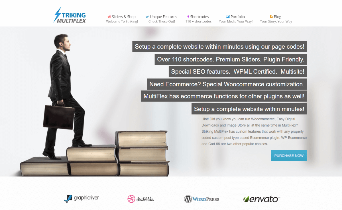 Striking MultiFlex - eCommerce WordPress Themes