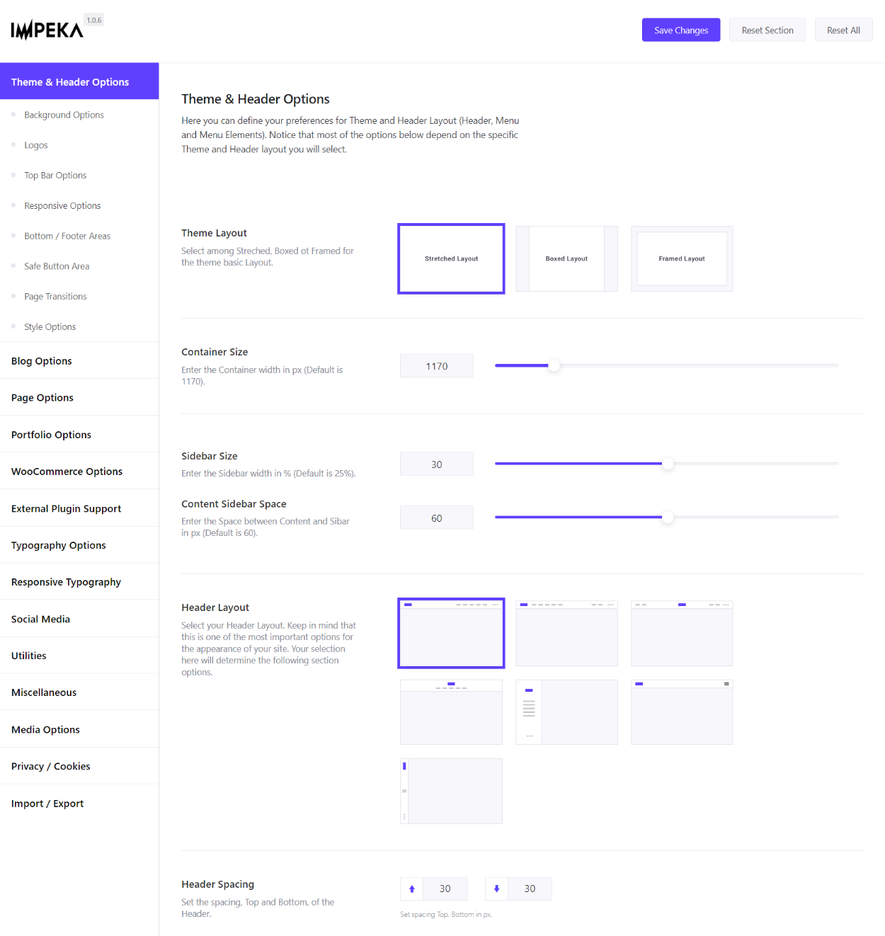 Theme options area