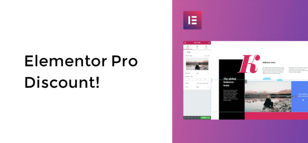 Elementor Pro Discount
