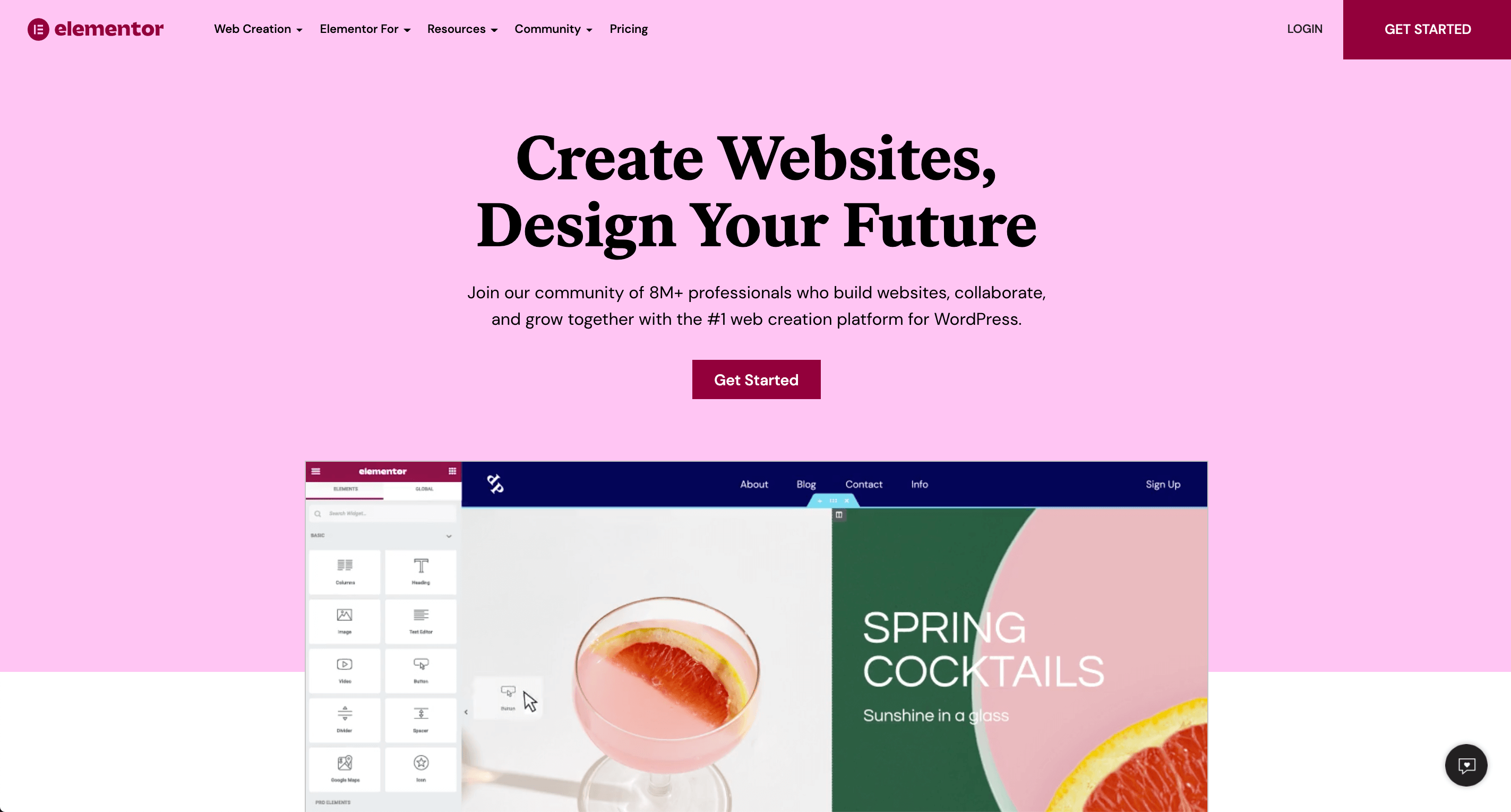 Elementor website builder.