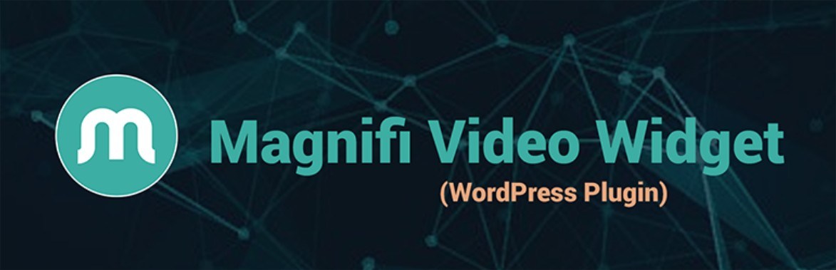 Magnifi Video widget review