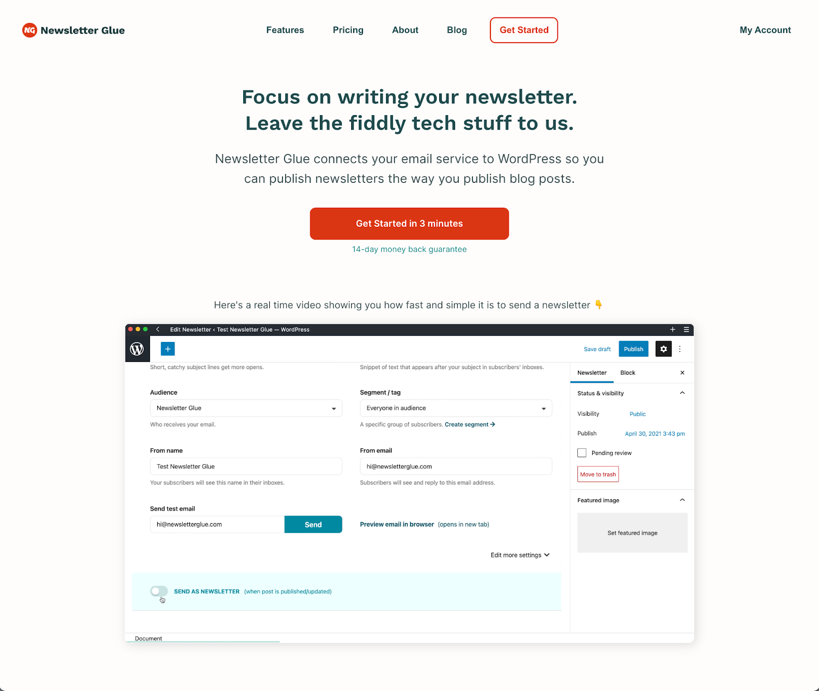The Newsletter Glue Homepage