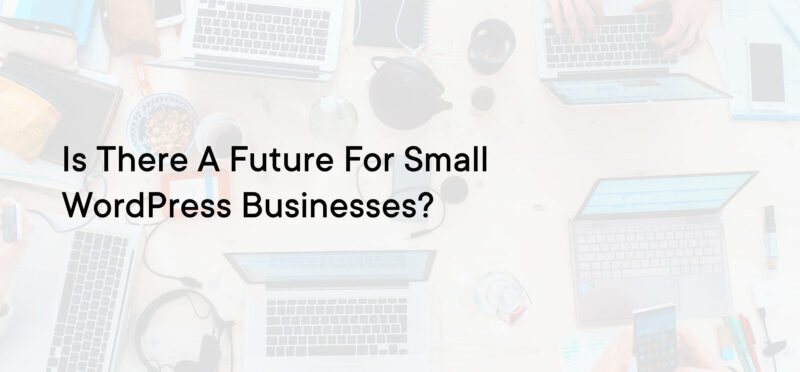 Is There a Future for Small WordPress Businesses?