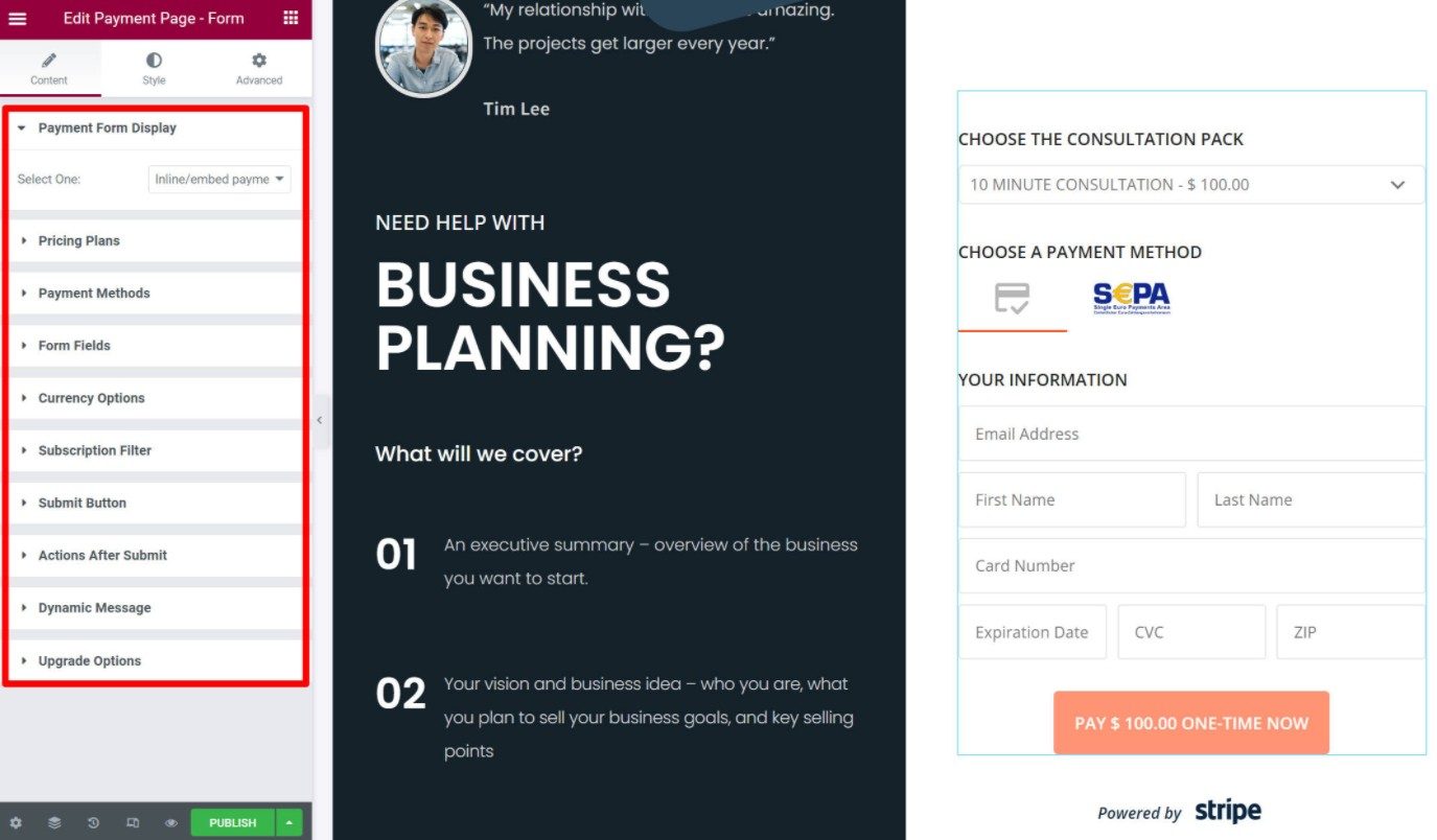 Payment Page Elementor widget