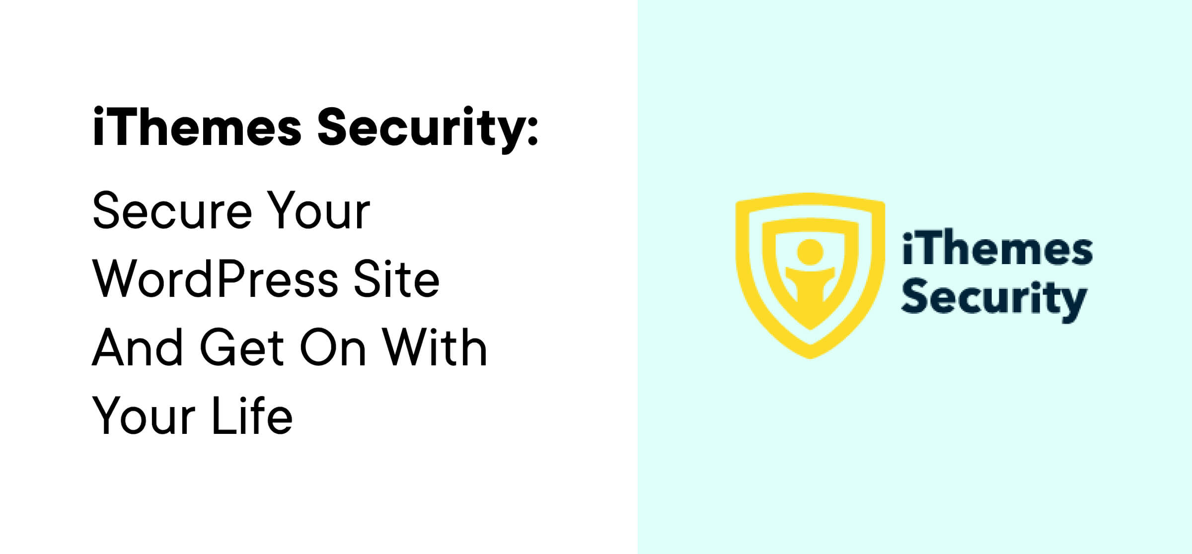 iThemes Security Review