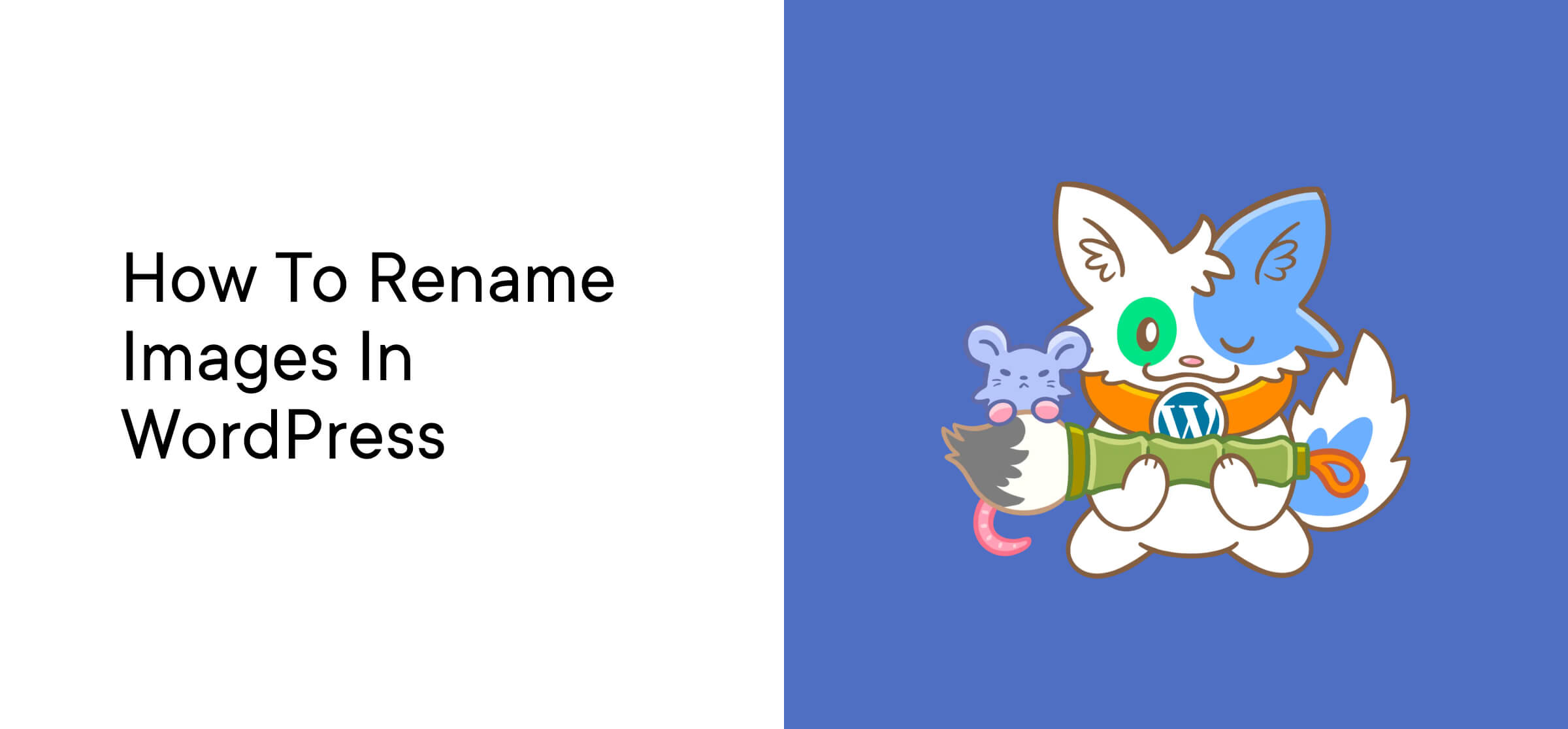 How to Rename Images in WordPress