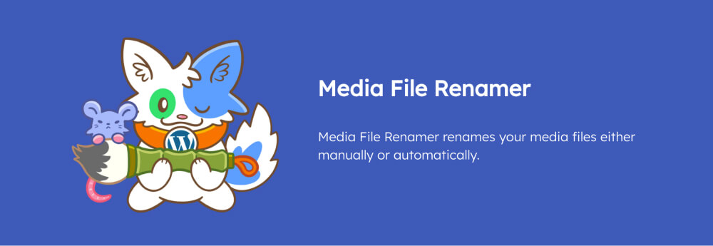 The Media File Renamer plugin.