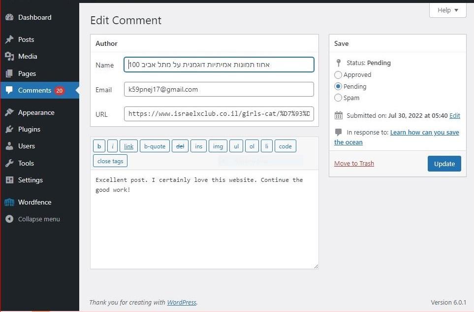 comment_author_link_on_wordpress