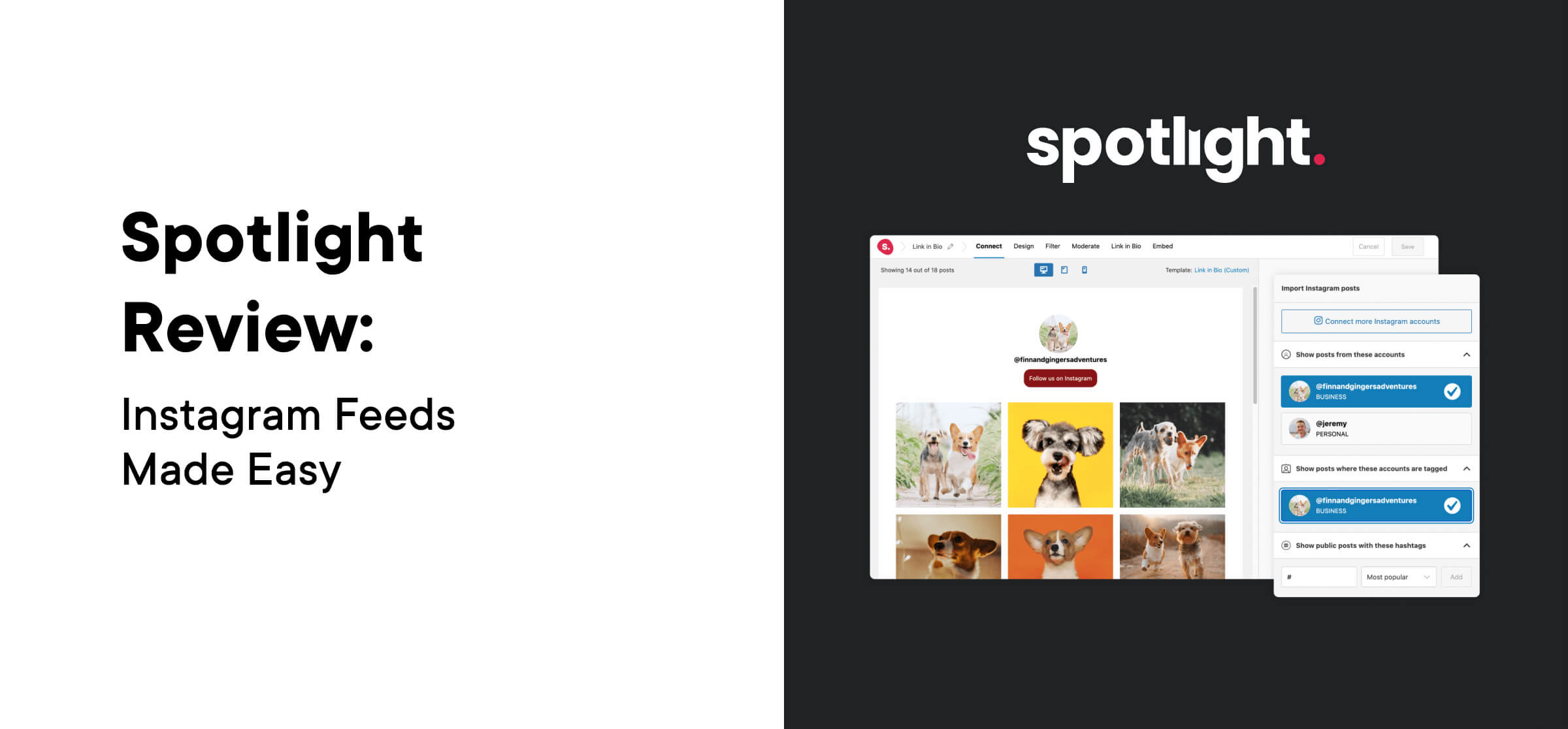 Spotlight Review - Instagram Feeds Made Easy