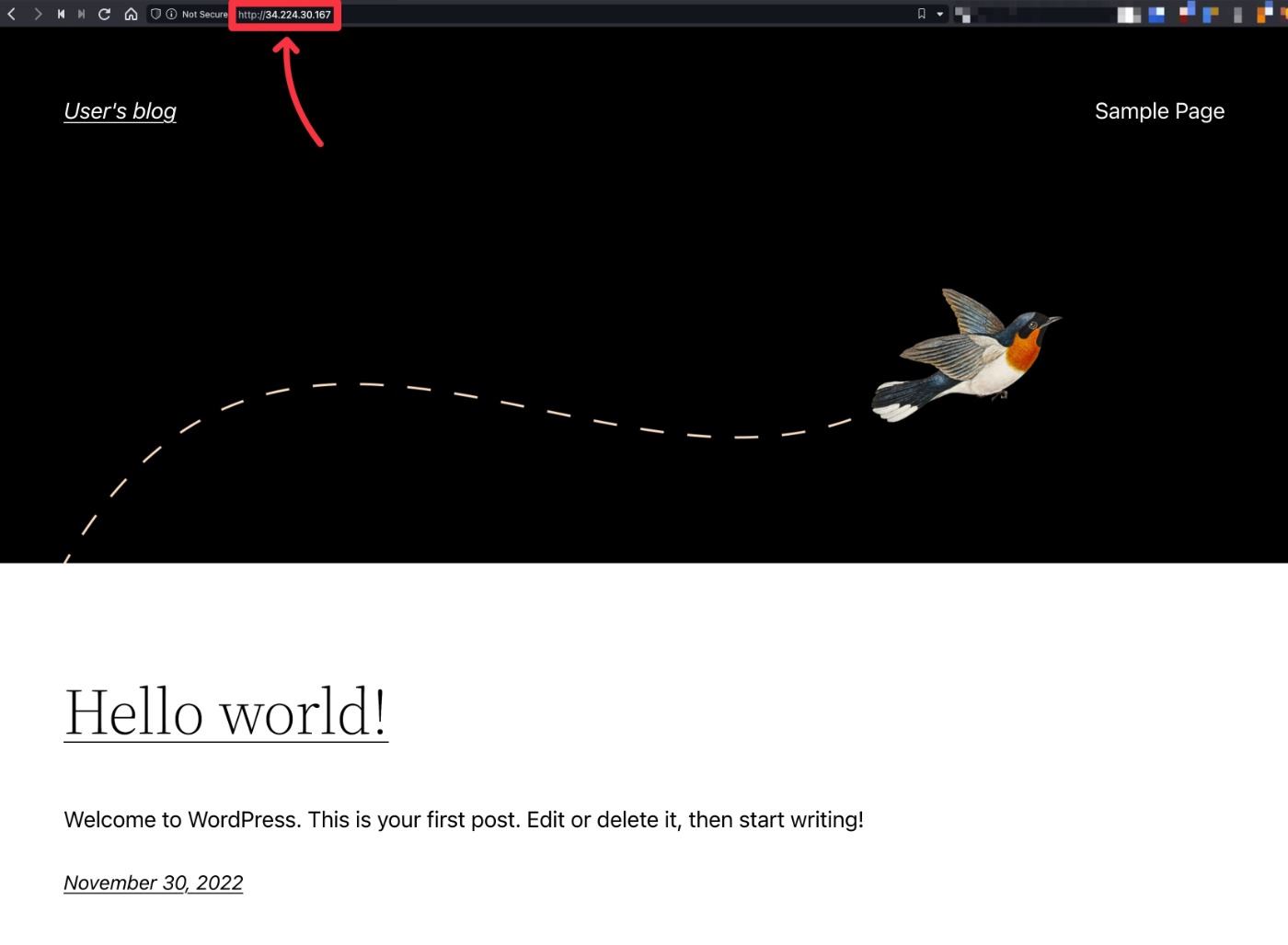WordPress site