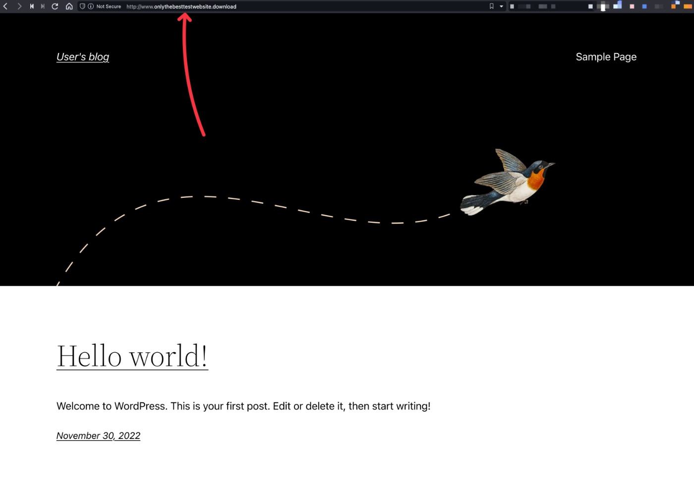 WordPress site with custom domain