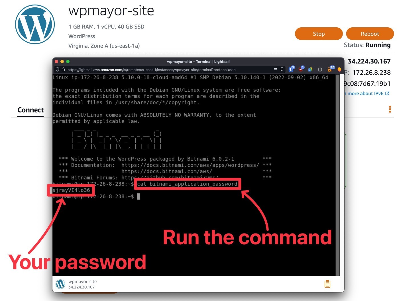 Run the command to access password