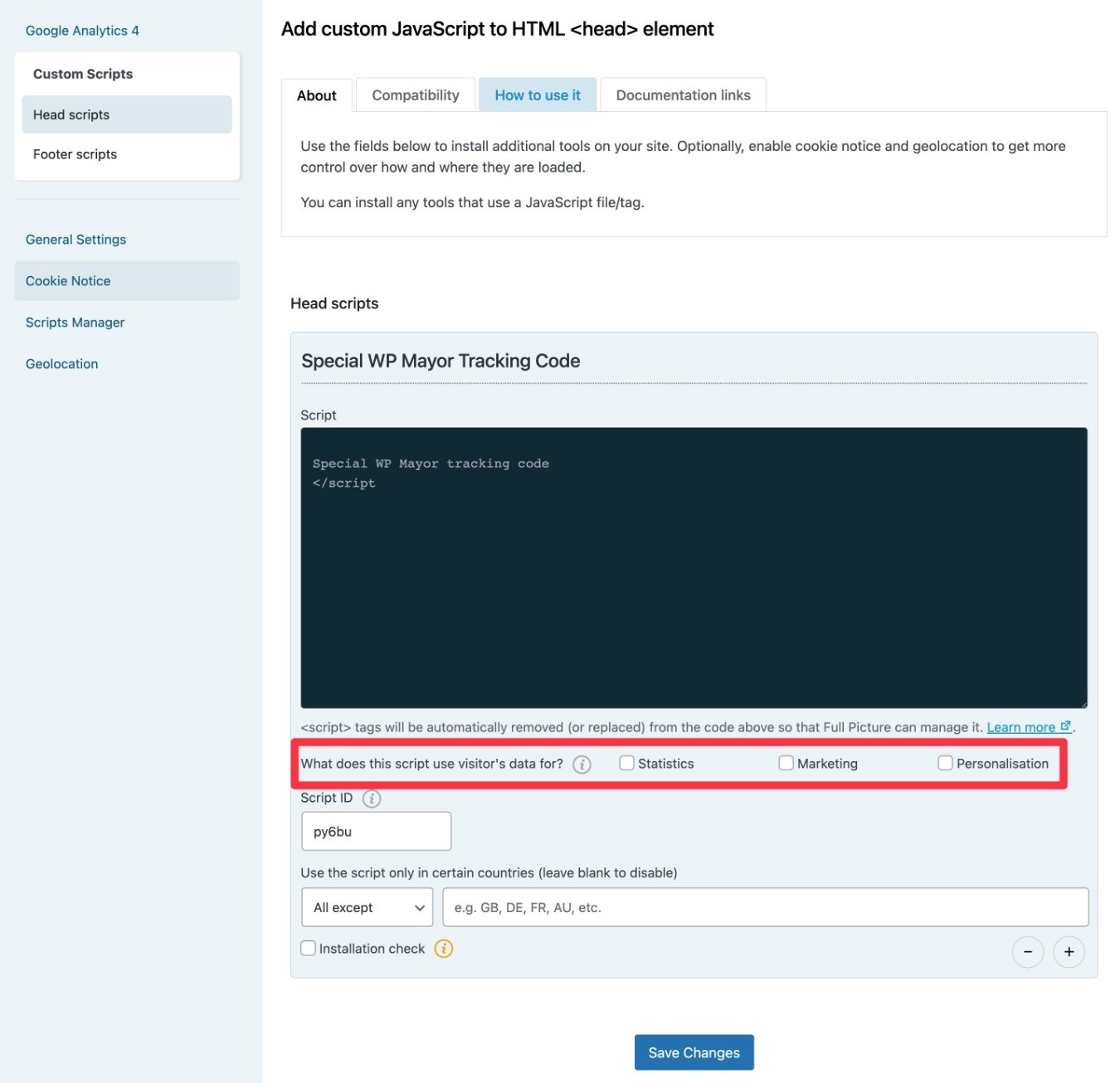 Adding a custom script to WP FullPicture