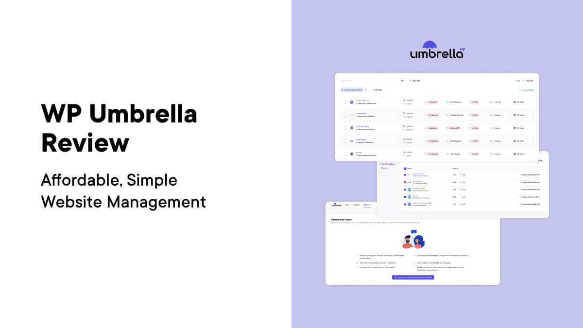 WP Umbrella Review