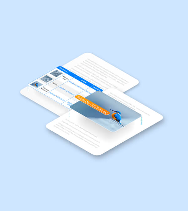 Author Attributions for Images
