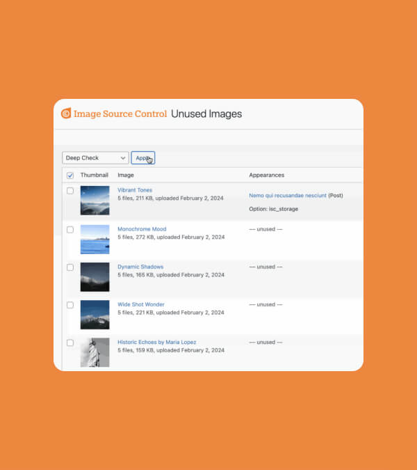 Delete unused images in WordPress