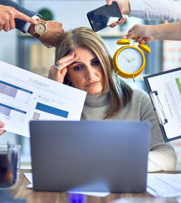 WordPress Document Management