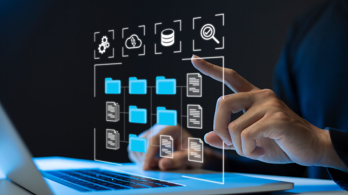 How to Manage Your WordPress Database_ A Comprehensive Guide