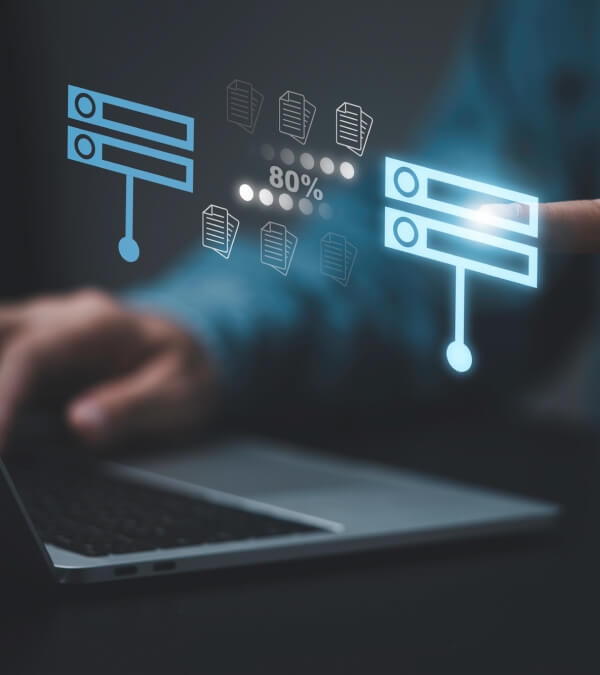 Import WordPress Users
