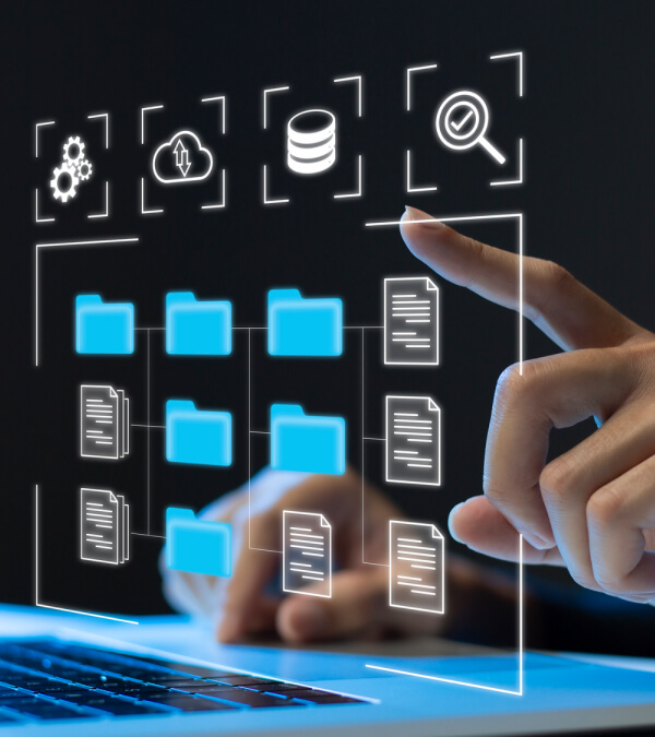 WordPress Database