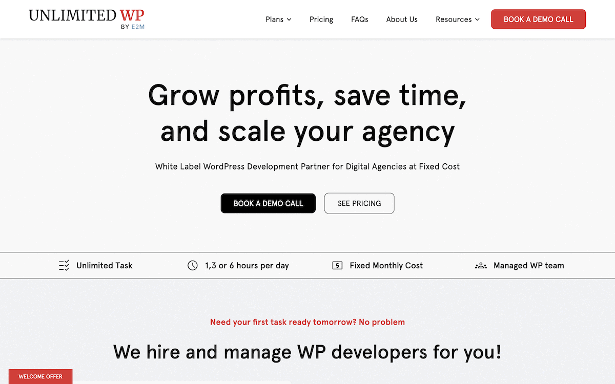 The UnlimitedWP website.