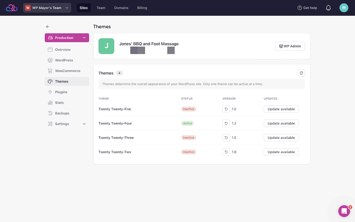 Accessing WordPress theme information from the Rapyd Cloud dashboard.