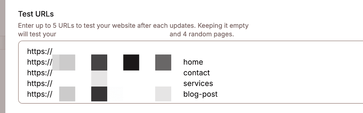 The Test URLs screen within Kinsta Automatic Updates.