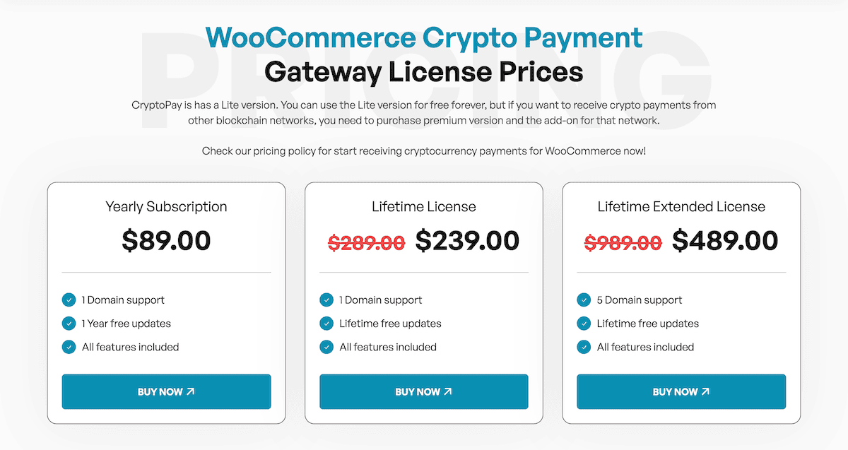 The CryptoPay pricing table.