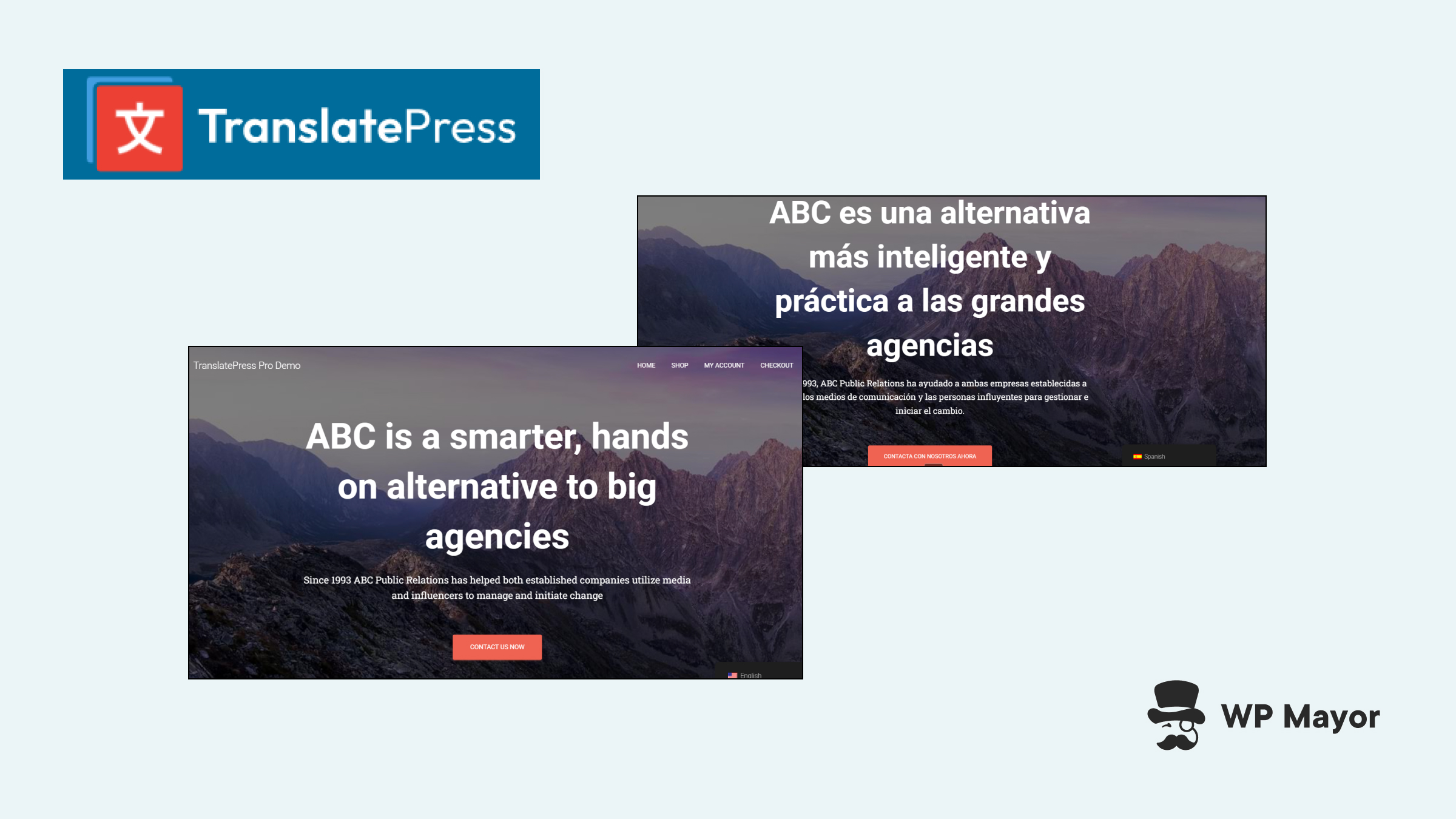 TranslatePress Review