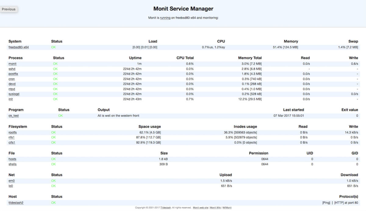 Monit's services manager interface.